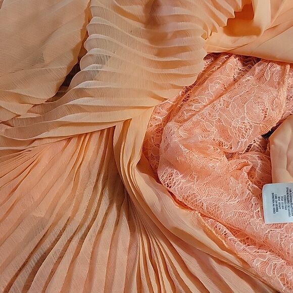 ALICE + OLIVIA peach fairy style  NEW WITH TAGS maxi gown - Picture 14 of 16